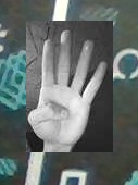 Hand landmark example 4